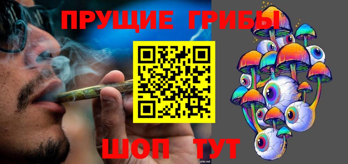 Псилоцибиновые грибы Psilocybe Барабинск